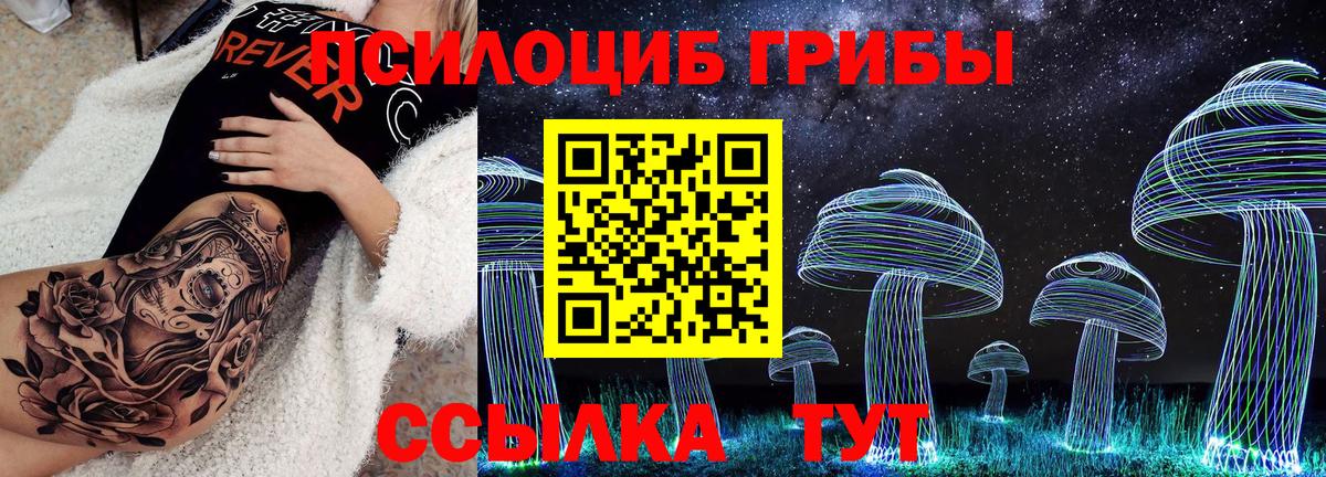 Псилоцибиновые грибы GOLDEN TEACHER  Вход с VPN  Томск  Псилоцибиновые грибы ЛСД 
