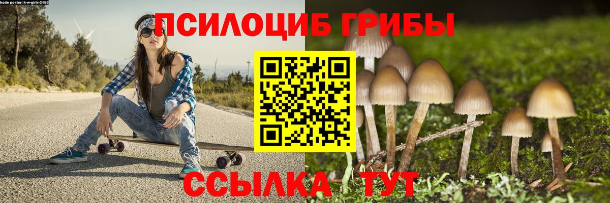 Псилоцибиновые грибы мухоморы Томск